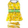 Ladybugs and Daisies Dog Dress – With Matching Leash