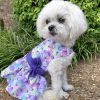 Purple Butterfly Dog Dress – With Matching Leash