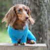 Blue Sweet Dreams Thermal Pajamas – Warm & Cozy Dog Sleepwear