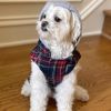 Weekender Dog Sweatshirt Hoodie – Cozy & Stylish Pet Apparel