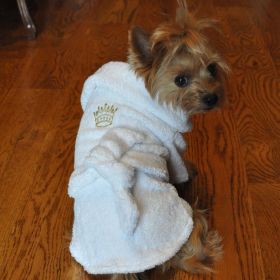 Luxury Dog Bath Robe – Soft, Absorbent Pet Robe for Post-Bath Comfort (Color: Gold Crown, Size: Medium)