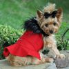 Red Wool Dog Coat Harness – Fur Collar with Matching Leash