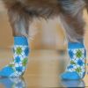 Non-Skid Dog Socks – Anti-Slip Pet Socks for Indoor Safety