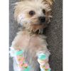 Non-Skid Dog Socks – Anti-Slip Pet Socks for Indoor Safety