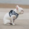 American River Choke Free Dog Harness – Comfortable & Secure Fit