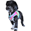 American River Choke Free Dog Harness – Comfortable & Secure Fit