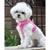 American River Choke Free Dog Harness – Comfortable & Secure Fit