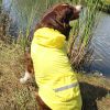 Packable Raincoat – Lightweight & Portable Pet Jacket