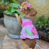 Watermelon Dog Dress – Fun & Stylish Pet Apparel