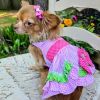 Watermelon Dog Dress – Fun & Stylish Pet Apparel