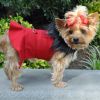 Red Wool Dog Coat Harness – Fur Collar with Matching Leash