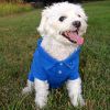 Polos Solid – Classic Pet Apparel