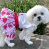 Strawberry Picnic Harness Dress – With Matching Leash